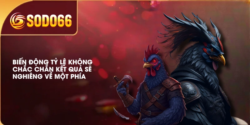 Biến động tỷ lệ không chắc chắn kết quả sẽ nghiêng về một phía