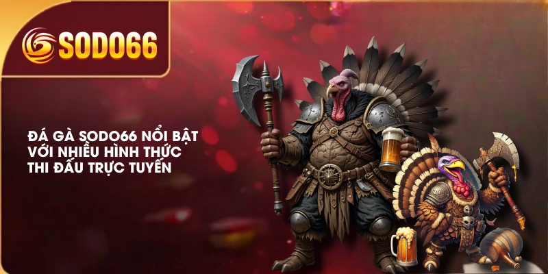 Đá gà SODO66 nổi bật với nhiều hình thức thi đấu trực tuyến
