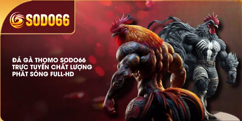 Đá Gà Thomo SODO66 Trực Tuyến Chất Lượng, Phát Sóng Full-HD 2 Đá Gà Thomo SODO66 Trực Tuyến Chất Lượng, Phát Sóng Full-HD