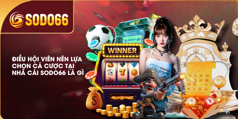 Điều hội viên nên lựa chọn cá cược tại nhà cái SODO66 là gì