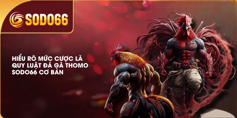 Đá Gà Thomo SODO66 Trực Tuyến Chất Lượng, Phát Sóng Full-HD 4 Hiểu rõ mức cược là quy luật đá gà Thomo SODO66 cơ bản