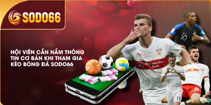 Kèo Bóng Đá SODO66 | Hướng Dẫn Đọc Kèo Chi Tiết Từ A - Z 4 Hội viên cần nắm thông tin cơ bản khi tham gia kèo bóng đá SODO66