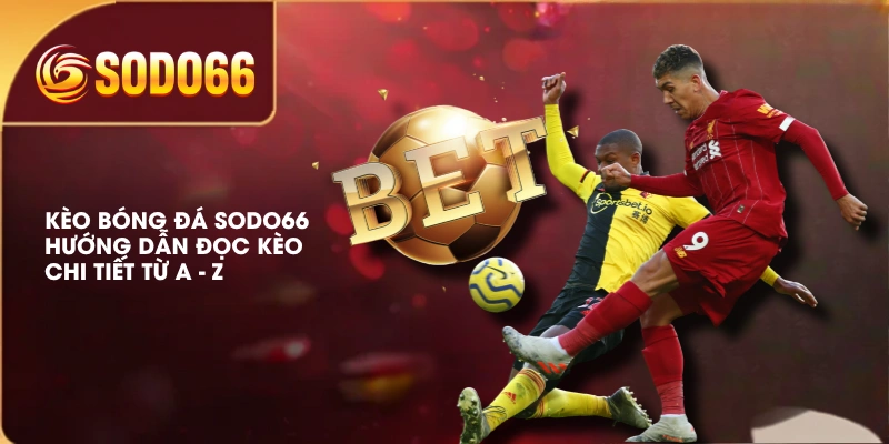 Kèo Bóng Đá SODO66 | Hướng Dẫn Đọc Kèo Chi Tiết Từ A - Z 1 Kèo Bóng Đá SODO66 | Hướng Dẫn Đọc Kèo Chi Tiết Từ A - Z