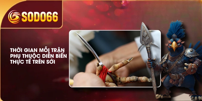 Luật Chơi Đá Gà Cựa Dao SODO66 Và Các Quy Định Cần Biết 3 Thời gian mỗi trận phụ thuộc diễn biến thực tế trên sới